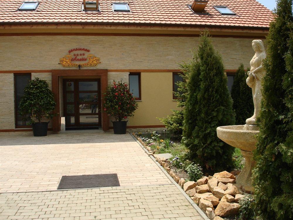 Anette Resort & Spa Temeskovácsi Kültér fotó